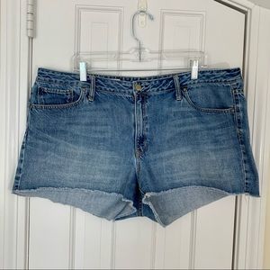 GAP | Denim Shorts - EUC